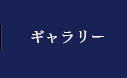 ギャラリー