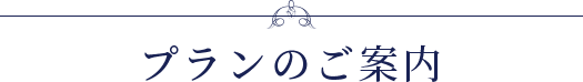 プランのご案内