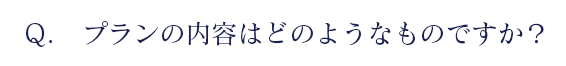プランの内容はどのようなものですか？